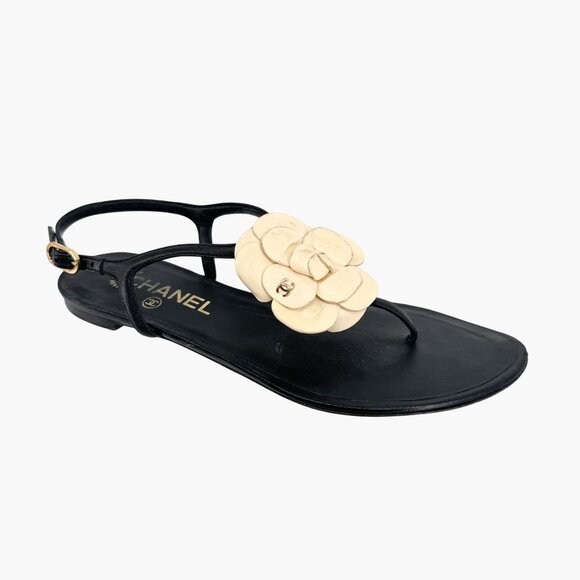 Chanel Camellia Flower CC Sandals Size 37.5C US 6.5-7 Black Leather Flat T-Strap - Picture 8 of 14